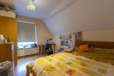 7 bed house, Richmond Road, Plasnewydd, Cardiff, CF243BT - Image 8